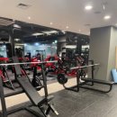 스포터짐 | 가양역헬스 운동하기 딱 좋은 곳 스포터짐 후기💪