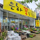 은하꽃집 이미지