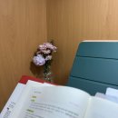 보리수떡&떡공예 | 26년 3월은 중간고사 직전에 쓰는거야