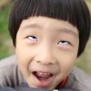 이영애농장 이미지