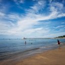 소나무 팬션민박 이미지