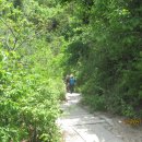 서울성북초등학교 이미지