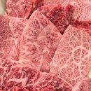 한솔축산 이미지