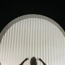 달1037