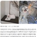 한남심장내과동물병원 이미지