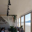 파도바 바다풍경 이미지