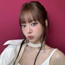 르무드헤어 이미지
