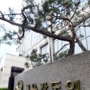 승환신문 이미지