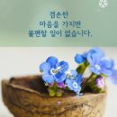 민병석: 질의와 응답 3359번. 3째인 4째인이 여는 싯점은 언제가 되나요? / Re: 3째인 4째인이 여는 싯점은?. 2022-07 이미지