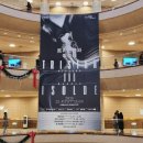 국립오페라단 사랑의묘약 | 국립 오페라단 <트리스탄과 이졸데> 12/6 관람 후기