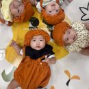 감성톡톡 자연물 놀이 | 상봉 문화센터 “자연물 감성놀이 까르까르 베베“ 수강 후기