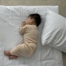 유앤아이 | 제주 아이랑 가기 좋은 숙소 | 유앤아이제주 풀빌라 솔직후기