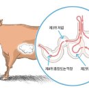 오마이양대창 이미지