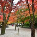 강천산군립공원 이미지