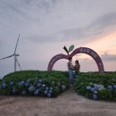 거창축산업협동조합 | 경남 거창여행 가볼만한 곳 거창별바람언덕 (feat. 거창 이화호텔, 이화스테이)