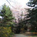 독산성길(삼남길) 이미지