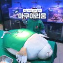 일석빌딩 | 잠실 롯데월드 아쿠아리움 가격 할인 실내 놀거리 이용 후기