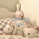 쉐리로그(cheri:log)