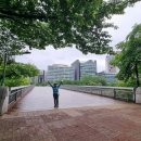 황새울교 앞 네이버블로그