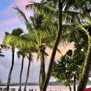 타미나프라자 이미지