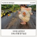 용인농장 | 용인 아이랑 딸기농장체험 동물농장 포레스트벨 후기