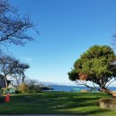 항구낚시터 이미지