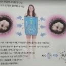 (주)퀀텀소마티드 이미지