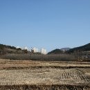 오충사 이미지