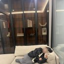 강남호텔 파티룸추천 르컬렉티브강남 예술의전당시그니티 프리미어스위트룸 후기