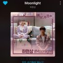 moonlight 🌙 이미지