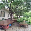 대봉장횟집 이미지