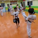 리2태권도장 이미지