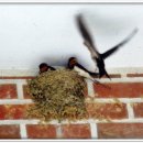 봉암3리 이미지