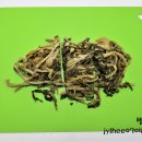 한식요리 B반 이미지