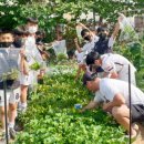 서울양강초등학교 이미지