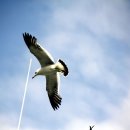 울릉도 여행 이미지