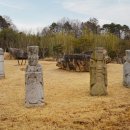 나성동_독락정역사공원 이미지