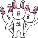 엠짐(M Gym) 이미지