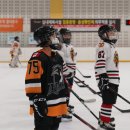 [유아체육] 체력운동 이미지