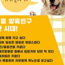 도그 팰리스 이미지