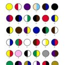 색깔 심리 테스트 이미지