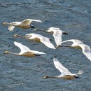 정의2리 이미지