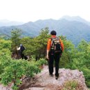 성치산 (670m) 충남 금산군 남이면ㆍ전북 진안군 주천면 이미지