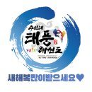 용인대 태풍태권도 이미지