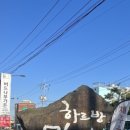 제주흑돼지왕만두 이미지