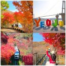 복지정비서부사업소 | 경기도 광주 화담숲 시간 예약 꿀팁 서울근교 당일치기 버스여행