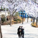 용산-102 이미지