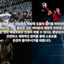 니코데이터