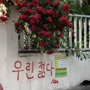 코앤츄 | [공지] 기다리던 봄의 기운이 완연해요
