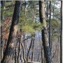 청록다방 - 영월군 | 청록다방